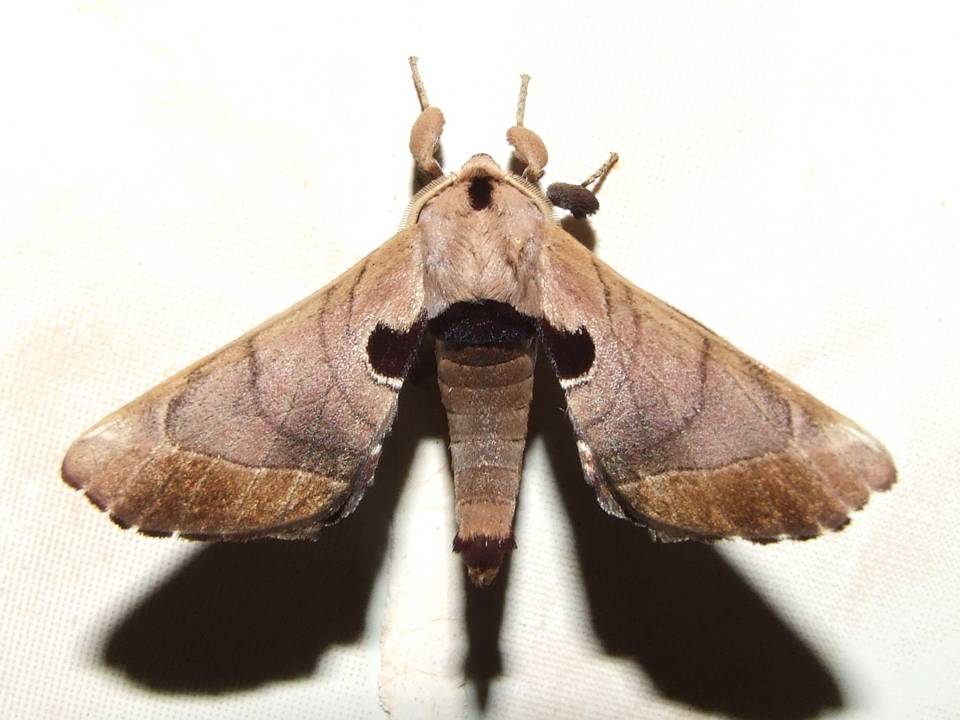 FIGURE 3 FIGURE 3